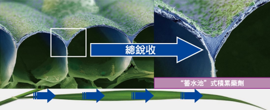 總銳收