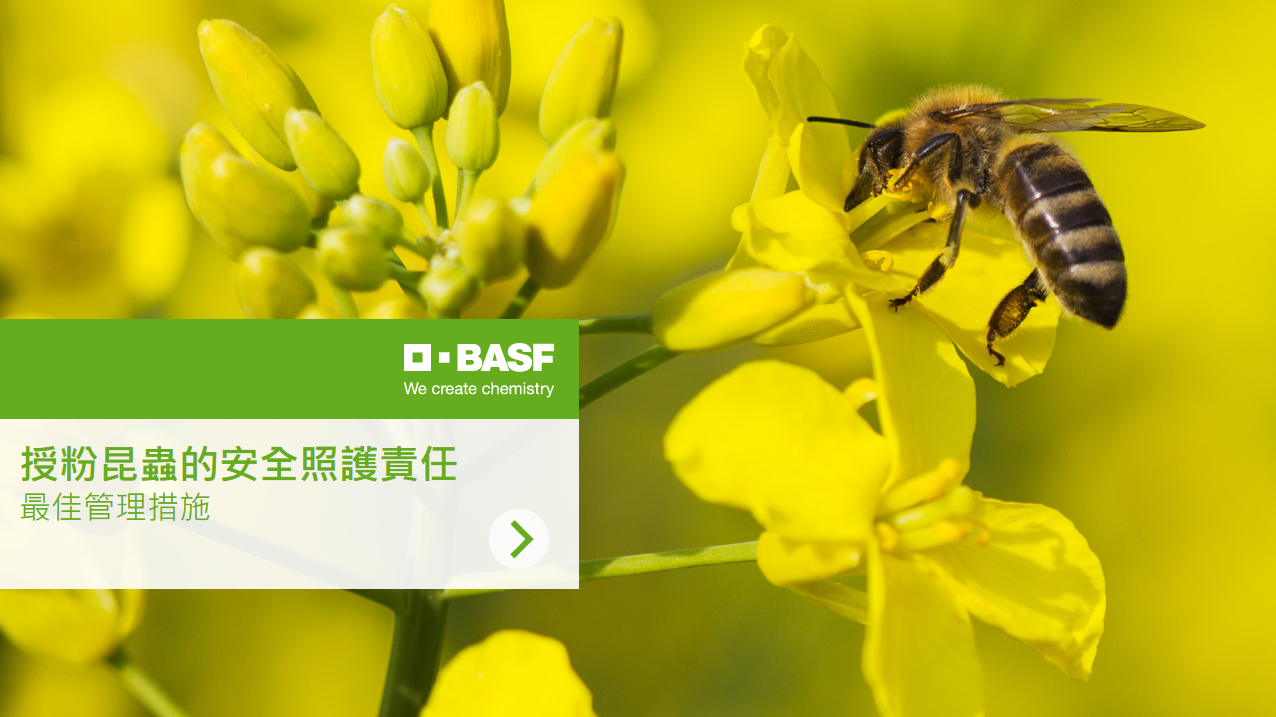 授 粉 昆 蟲 的 安 全 照 護 責 任