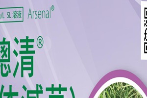 總清